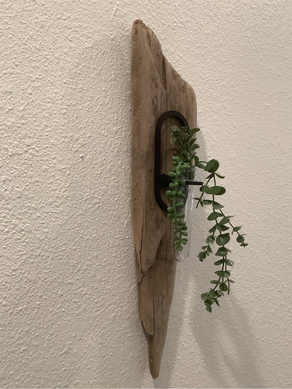 Driftwood Art , Driftwood Hanging Plant Plaque, Driftwood Coastal Art - Picture 3 of 8